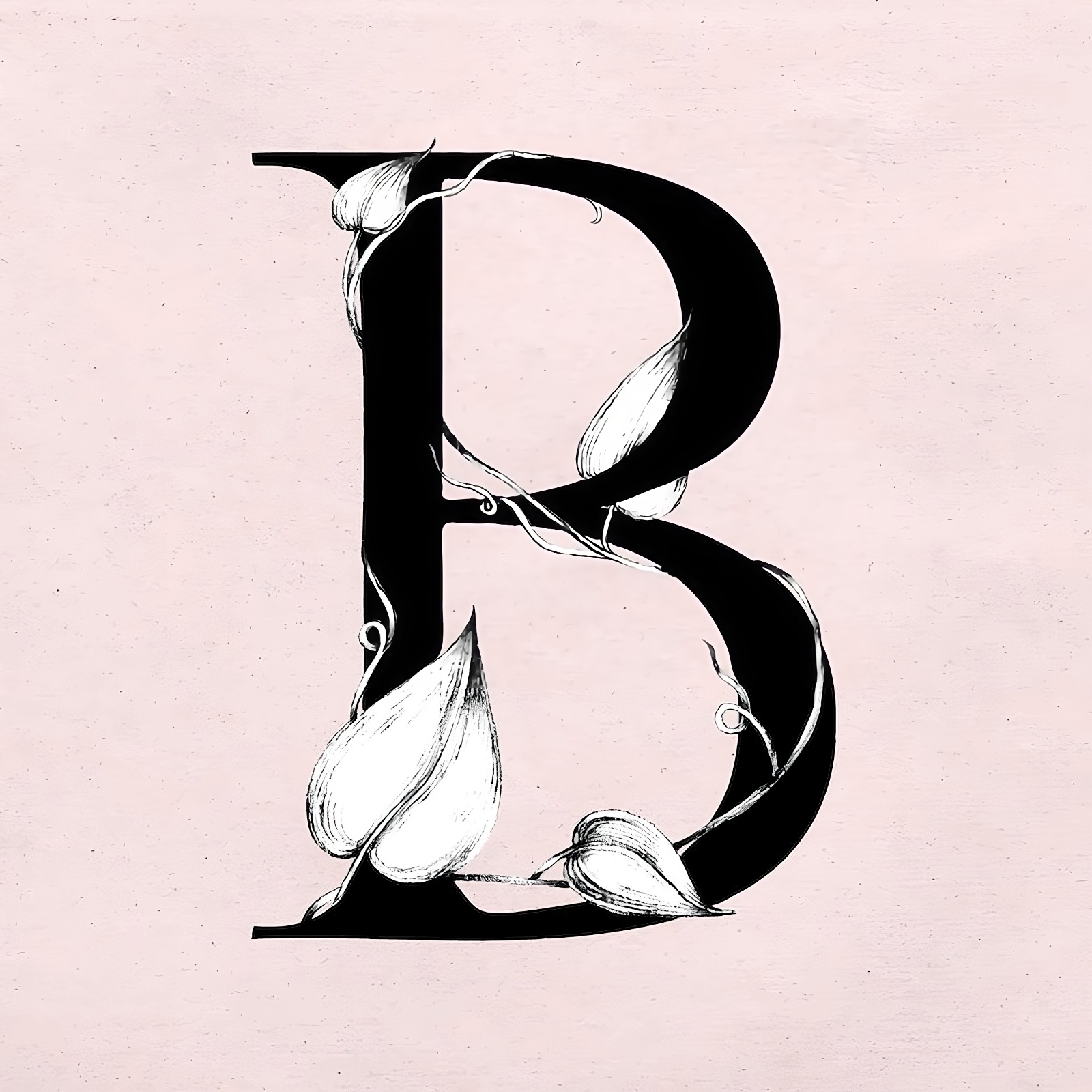 B Name Image - vector