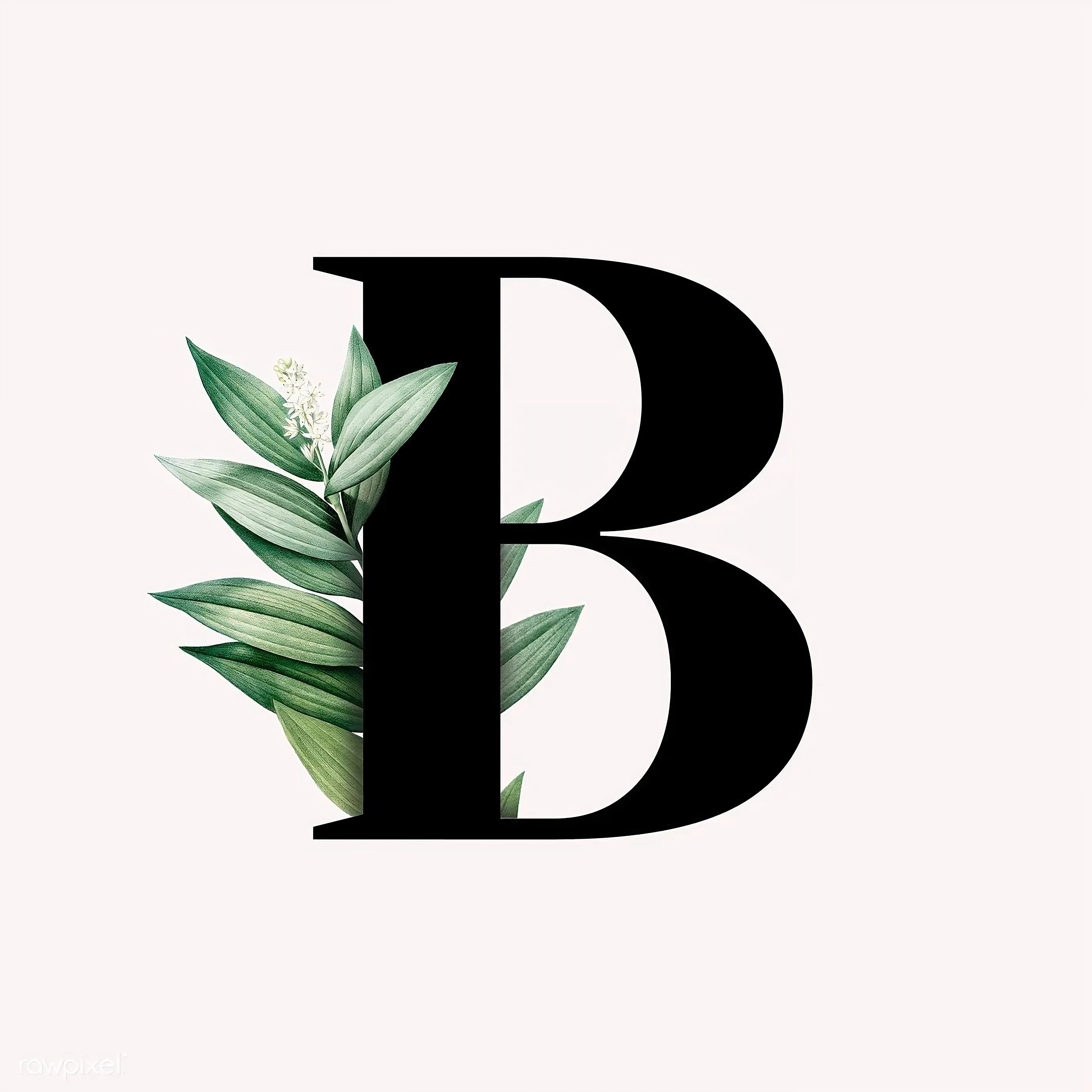 B Name Image - leaves