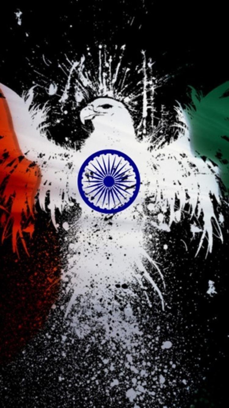 Indian Flag Dove Painting Art