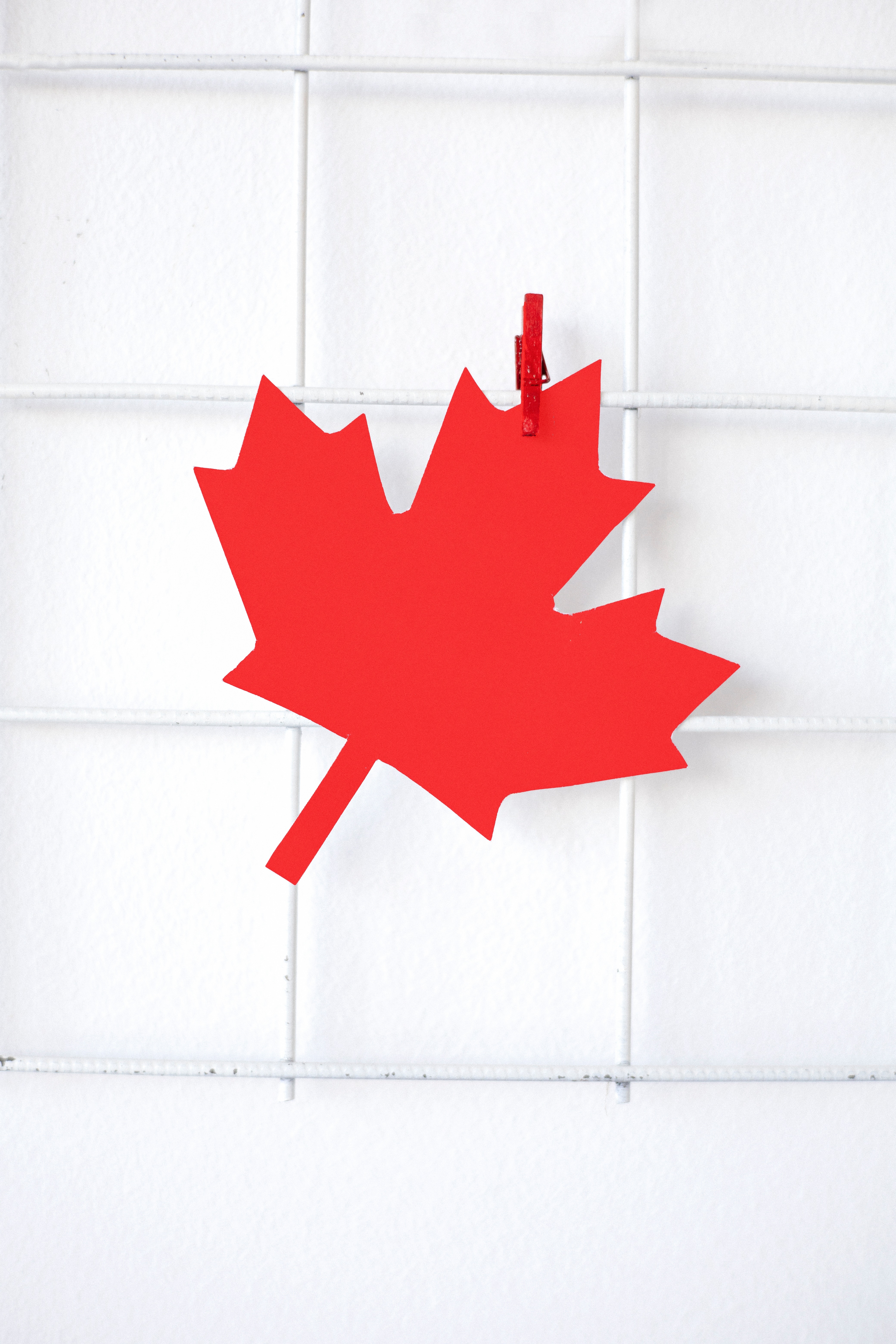 National Flag - Flag of Canada