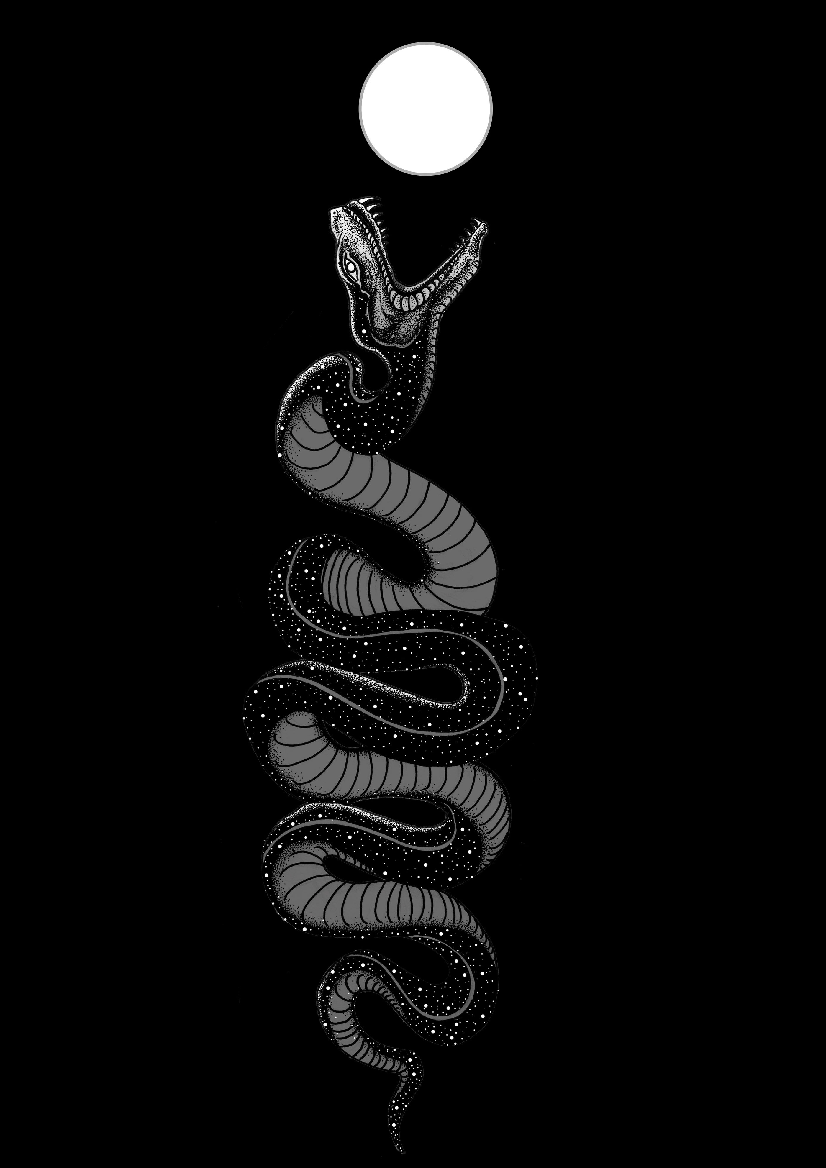 Aesthetic Black Snake