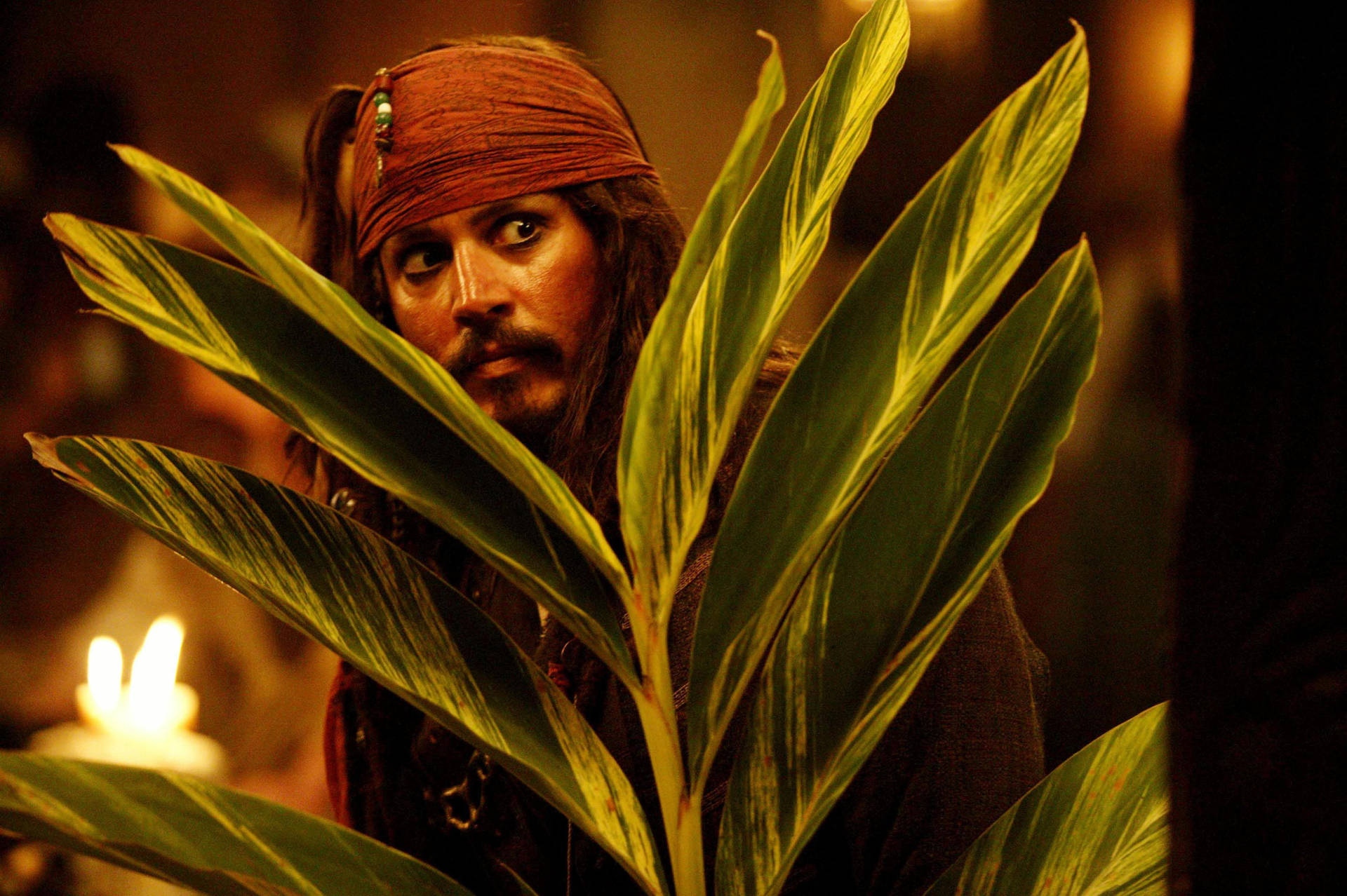 Jack Sparrow - jack
