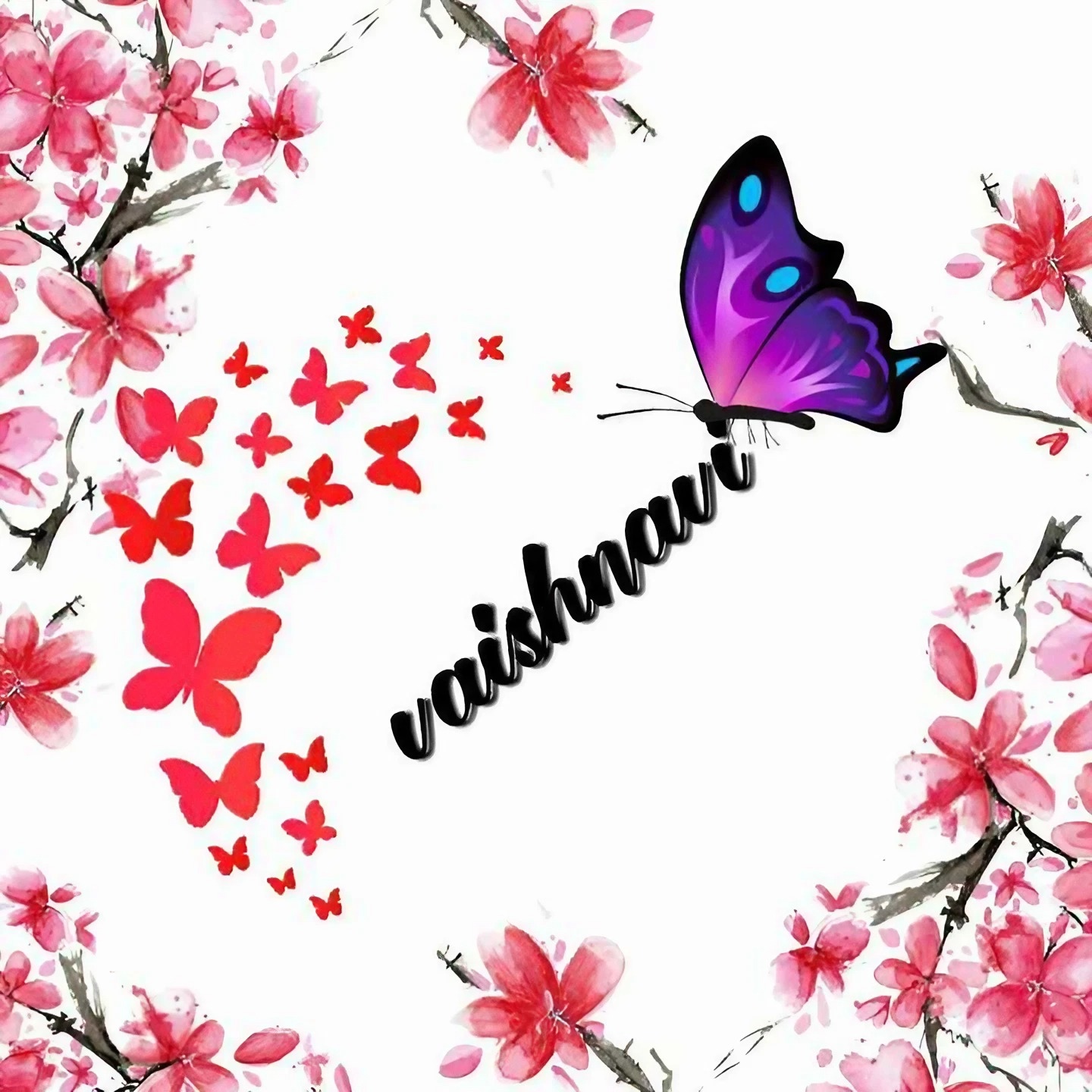 Vaishnavi Name - Butterfly Art